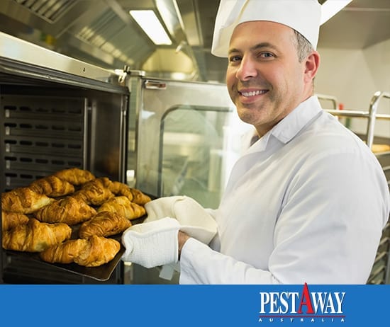 PestAway-Pest-Control-Food