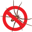 bugs