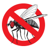 bugs