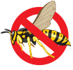 bugs