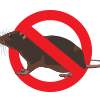 bugs