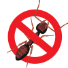bugs