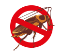 cockroach-control