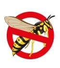 wasp-removal