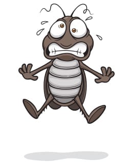 pestAway6
